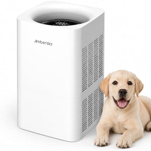 Ambersky Air Purifier for Home, True HEPA Filter for Large Room Up To 2500 Sq Ft, Sleep Mode, 5 Fan Speeds, 360° Air Cleaner for Pet Hair, Smoke, Dust, Odor