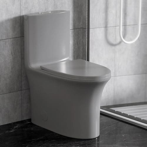 WinZo Modern One Piece Toilet Sleek Design Dual Flush Water Closet WZ5020 (Matte Grey)