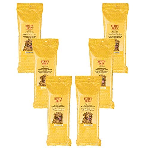 Burt's Bees for Pets Multipurpose Grooming Wipes - All-Purpose Cleaning & Grooming for Dogs - Cruelty-Free, 50 Count (6 Pack)